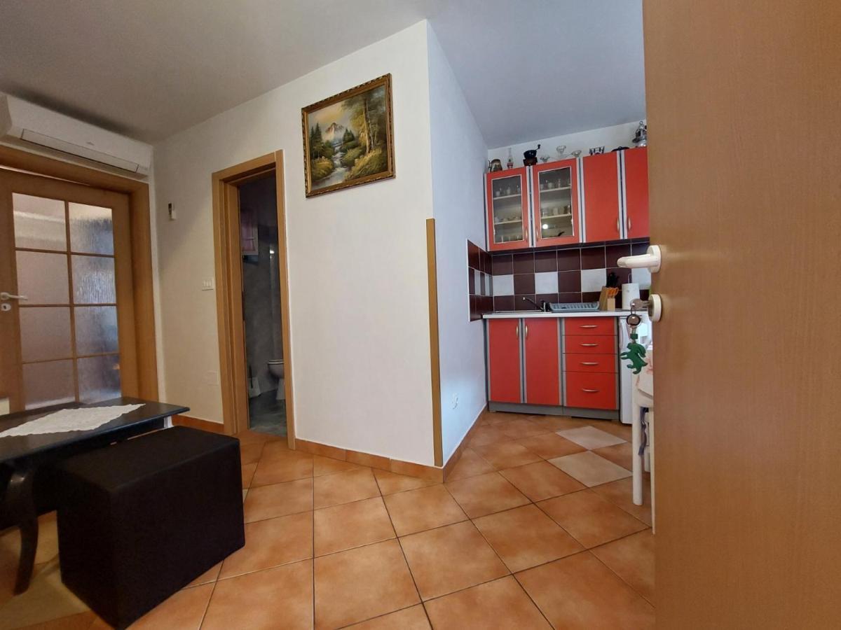 Leona Apartamento Novigrad Istria Exterior foto